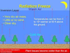 Radiation Freeze